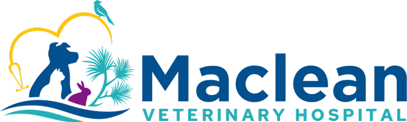 Maclean Veterinary Hospital